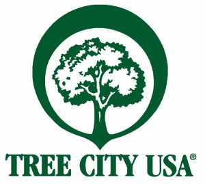 tree-city-logo