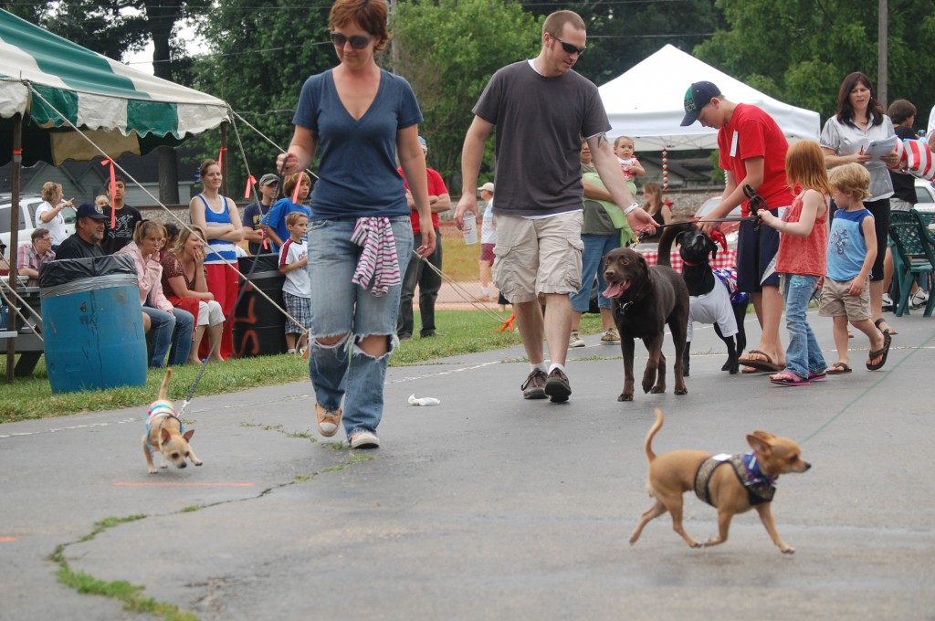 Some of the participants in the pet parade take a lap for the judges. The parade was a new activity sponsored by Scully's Silver Lake Grill.
