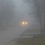 fog 12-21-2011-1_opt