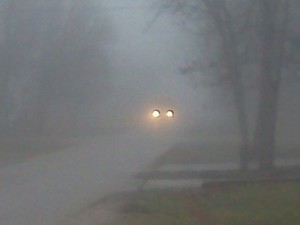 fog 12-21-2011-1_opt
