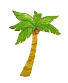 palm-tree-trevor-wilmot