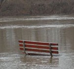 flooding-stock-dh-bench
