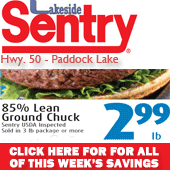 ad-lakeside-sentry-7-17-2013-web