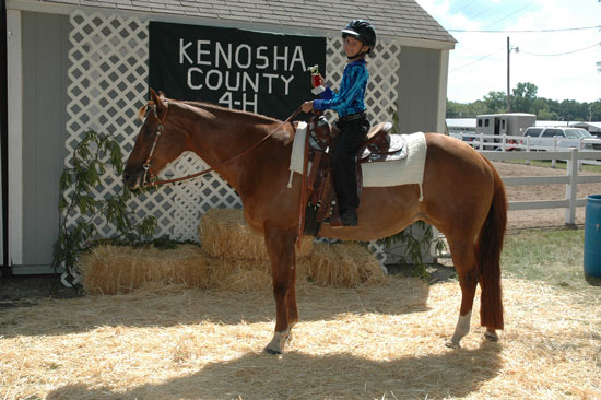2013-sat-horse-10-submitted