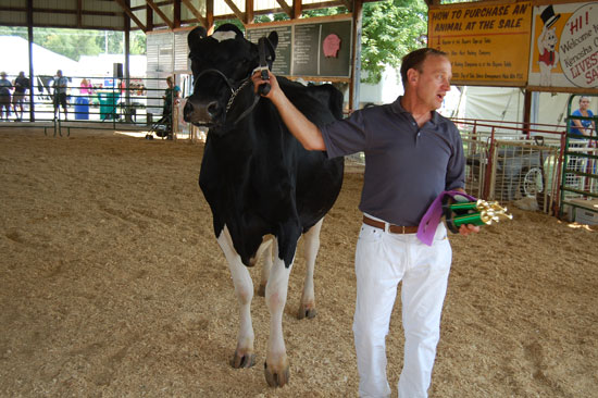 Dan Weis of Lakeland Septic Services showed this cow in the open class dairy show.  The cow was named grand and supreme champion of the open class show.