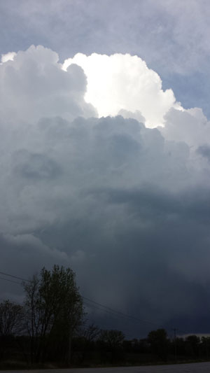 East of Paddock Lake. /Kelly Mickelsen photo