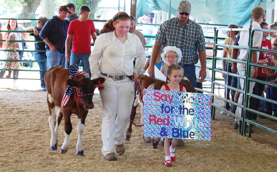 2014-fair-dairy-futurity-1