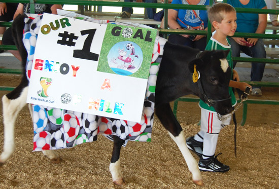 2014-fair-dairy-futurity-2