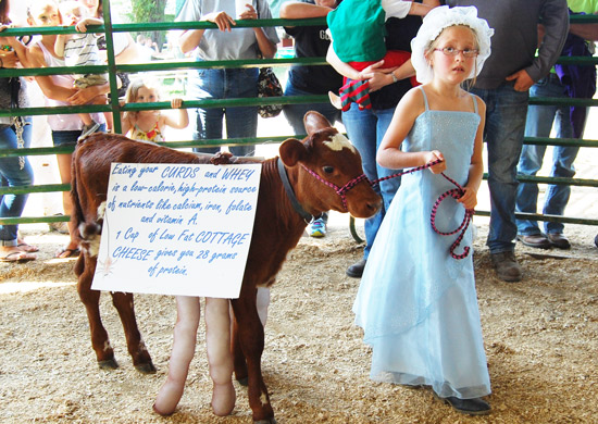 2014-fair-dairy-futurity-3