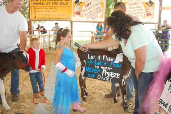 2014-fair-dairy-futurity-4