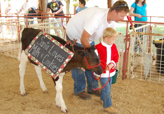 2014-fair-dairy-futurity-5