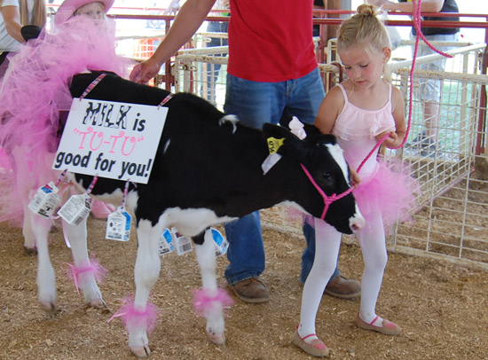2014-fair-dairy-futurity-6