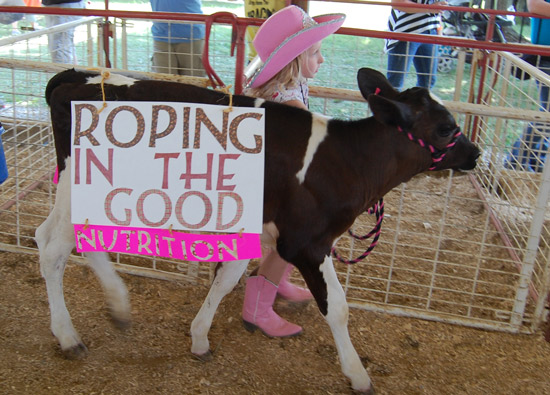 2014-fair-dairy-futurity7