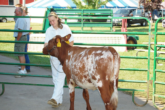 2014-fair-dairy-show-1