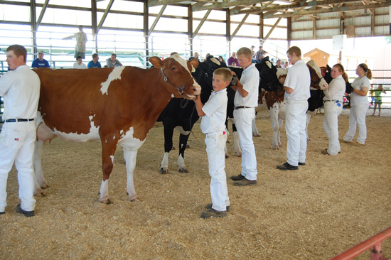 2014-fair-dairy-show-15