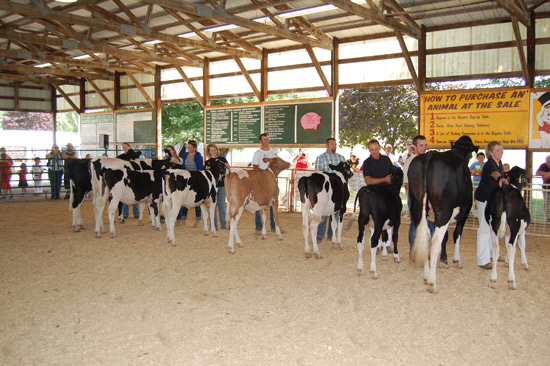 The alumni class for 2014.