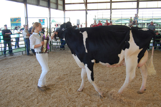 Carrie Weis and her supreme champion overall dairy cow.