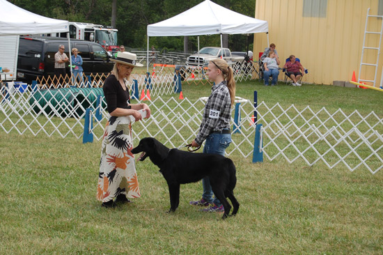 2014-fair-dog-show-1
