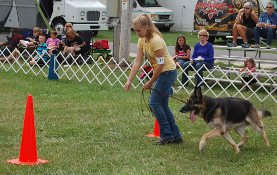 2014-fair-dog-show-3