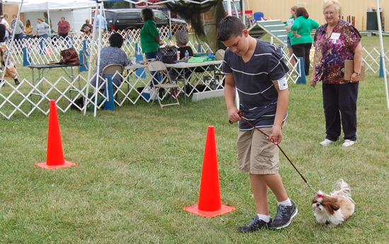 2014-fair-dog-show-5