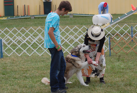 2014-fair-dog-show-6