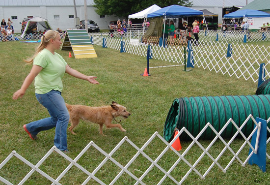 2014 Kenosha County Fair dog show coverage – West of the I