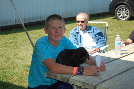 2014-fair-rabbit-show-2