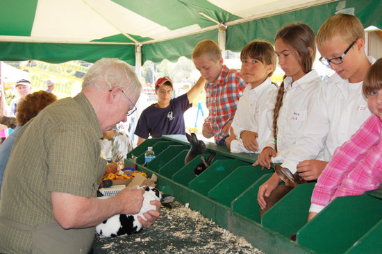 2014-fair-rabbit-show-3