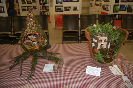 More fairy houses.