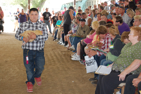 small-animal-auction-11