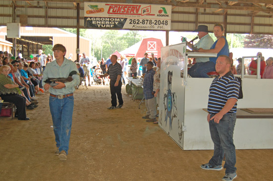 small-animal-auction-5