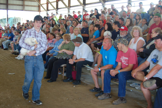 small-animal-auction-6