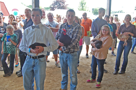 small-animla-auction-1