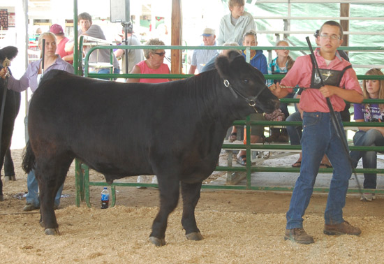 Joey McManus and his reserve champion steer.
