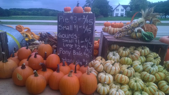 meyer-fall-decor-2014-1