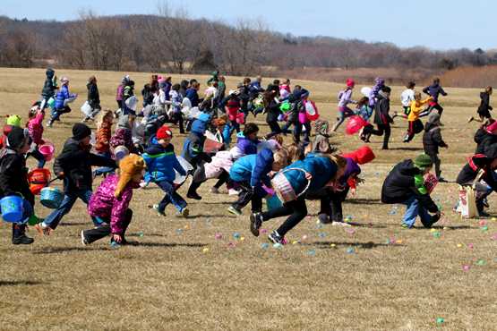 There were 4,000 eggs on the fields to be collected. 