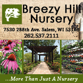 breezy-hill-nursery-summer-2015