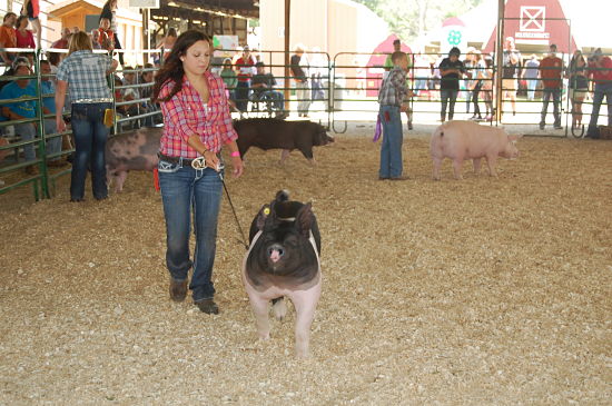 Morgan Rau and her grand champion market swine.