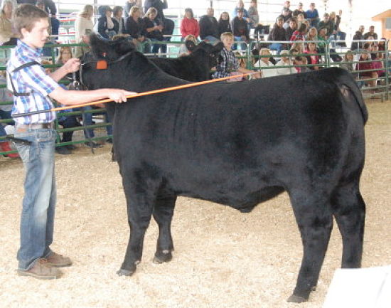 Chase Warren and his grand champion steer.