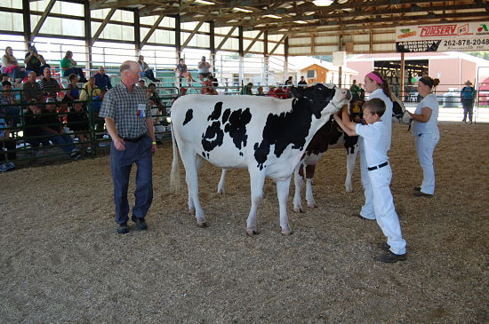 fair dairy show 2015 11_opt