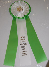 merit-award-ribbon