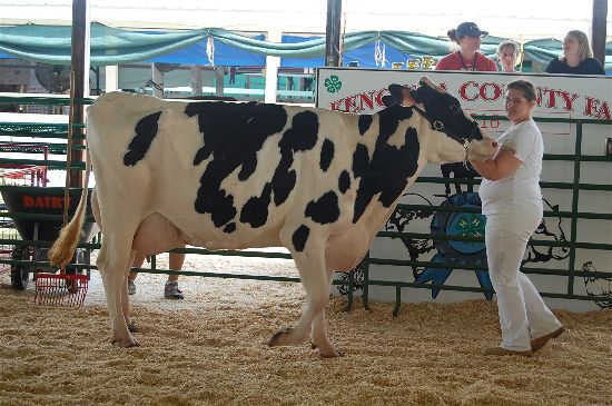 Shannon Diedrich and supreme champion overall cow.