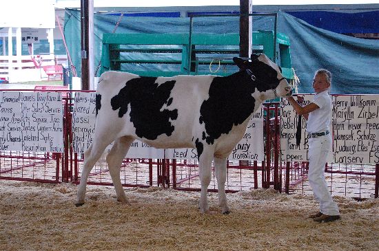 2016 fair dairy 10-opt