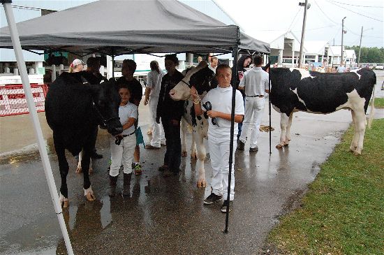 2016 fair dairy 11-opt