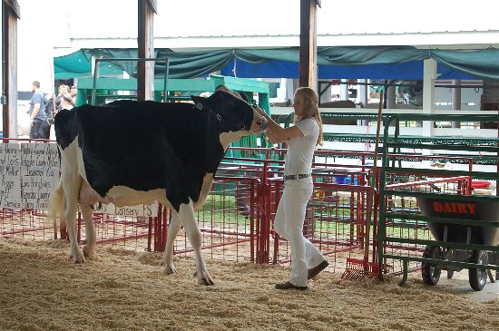 2016 fair dairy 14-opt