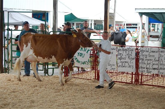 2016 fair dairy 15-opt