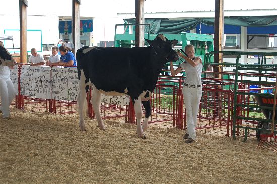 2016 fair dairy 16-opt