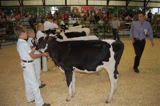 2016 fair dairy 4-opt