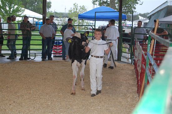 2016 fair dairy 5-opt