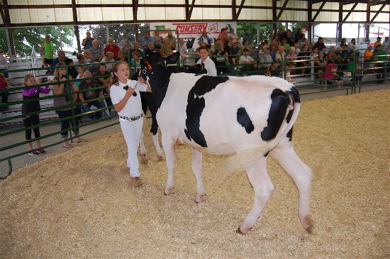 2016 fair dairy 7-opt